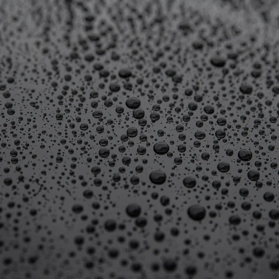 Water beading on coated paint